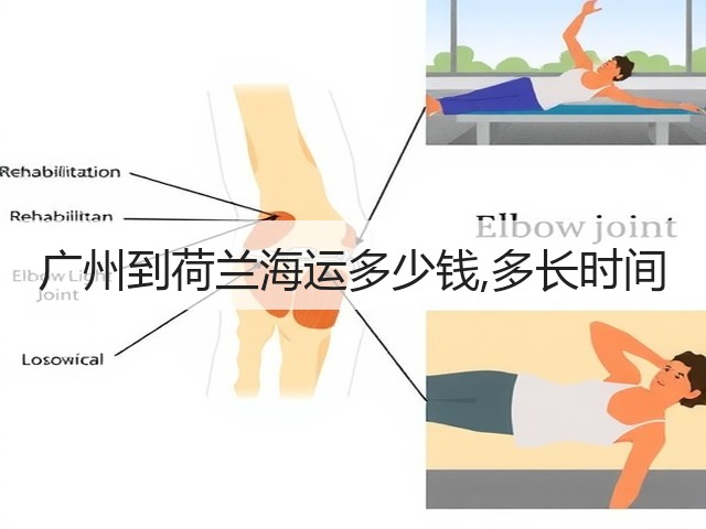 广州到荷兰海运多少钱,多长时间(图3) 广州到荷兰海运多少钱,多长时间(图3)