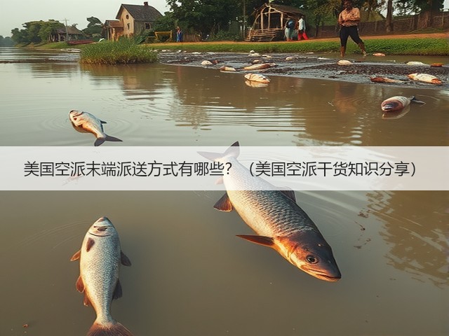 美国空派末端派送方式有哪些？（美国空派干货知识分享）(图1)