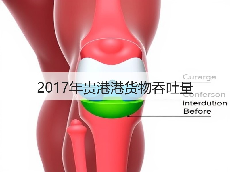 2017年贵港港货物吞吐量 2017年贵港港货物吞吐量