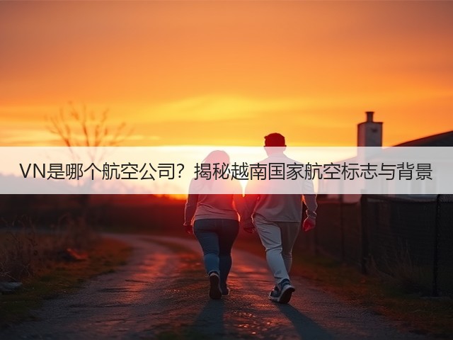VN是哪个航空公司?揭秘越南国家航空标志与背景(图3) VN是哪个航空公司?揭秘越南国家航空标志与背景(图3)