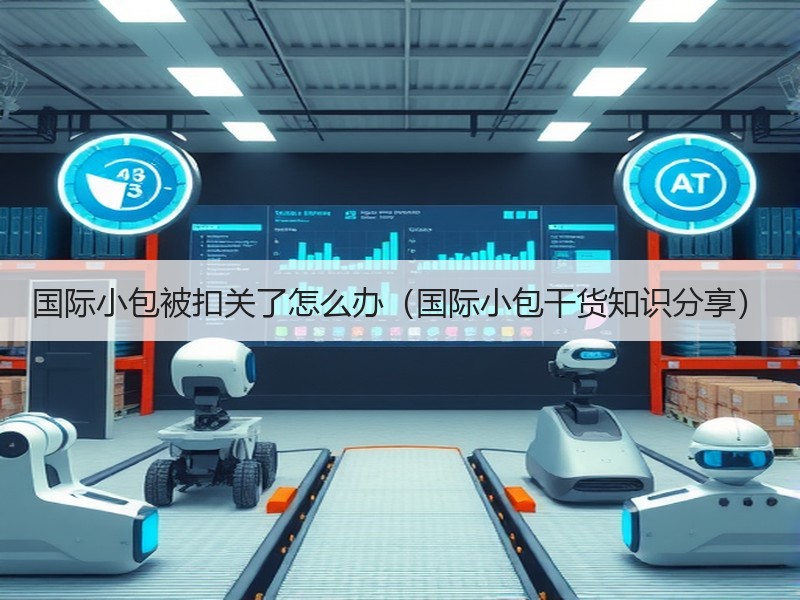 国际小包被扣关了怎么办（国际小包干货知识分享）