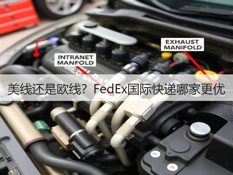 美线还是欧线？FedEx国际快递哪家更优