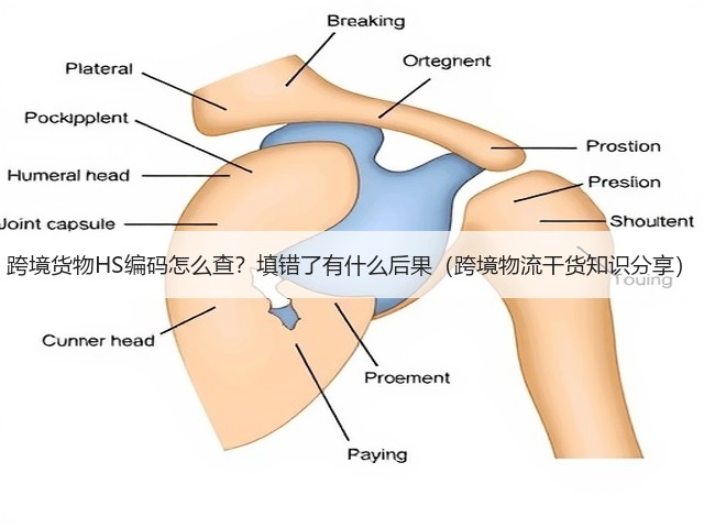 跨境货物HS编码怎么查?填错了有什么后果(跨境物流干货知识分享)(图2) 跨境货物HS编码怎么查?填错了有什么后果(跨境物流干货知识分享)(图2)