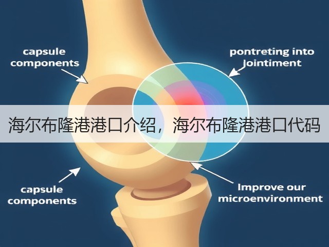 海尔布隆港港口介绍,海尔布隆港港口代码(图2) 海尔布隆港港口介绍,海尔布隆港港口代码(图2)