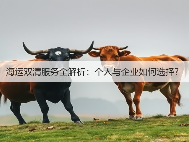 海运双清服务全解析:个人与企业如何选择?(图3) 海运双清服务全解析:个人与企业如何选择?(图3)