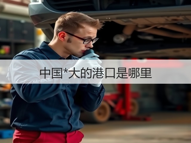 中国*大的港口是哪里(图3) 中国*大的港口是哪里(图3)