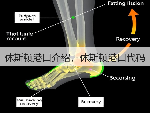 休斯顿港口介绍,休斯顿港口代码(图2) 休斯顿港口介绍,休斯顿港口代码(图2)