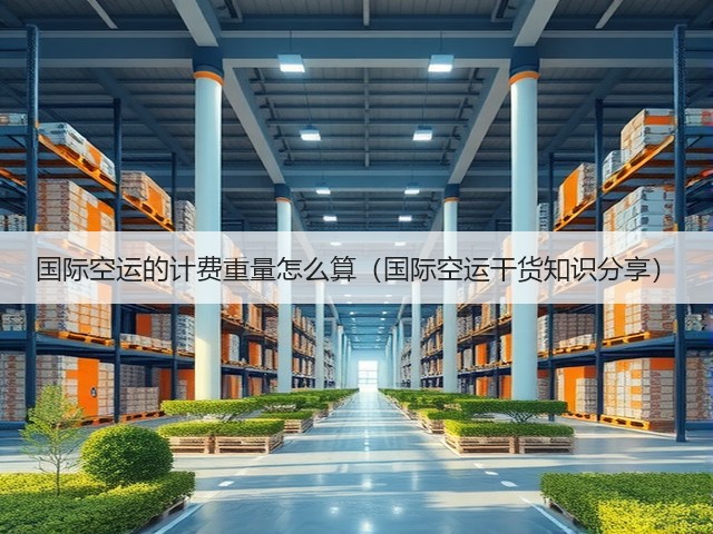 国际空运的计费重量怎么算(国际空运干货知识分享)(图3) 国际空运的计费重量怎么算(国际空运干货知识分享)(图3)