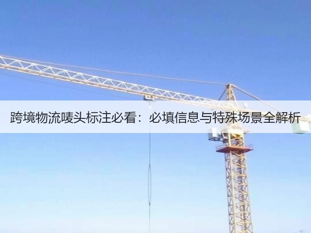 跨境物流唛头标注必看：必填信息与特殊场景全解析(图1)