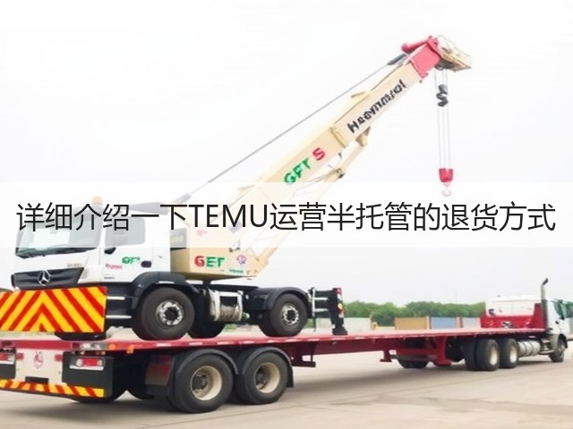 详细介绍一下TEMU运营半托管的退货方式(图2) 详细介绍一下TEMU运营半托管的退货方式(图2)