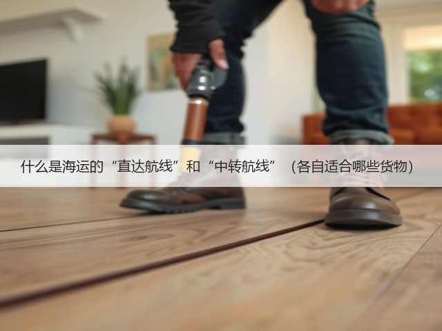 什么是海运的“直达航线”和“中转航线”(各自适合哪些货物)(图3) 什么是海运的“直达航线”和“中转航线”(各自适合哪些货物)(图3)