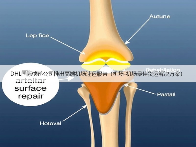 DHL国际快递公司推出高端机场速运服务（机场-机场最佳货运解决方案）