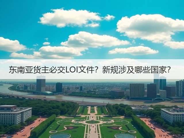 东南亚货主必交LOI文件？新规涉及哪些国家？(图3)