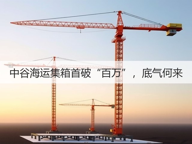 中谷海运集箱首破“百万”,底气何来(图1) 中谷海运集箱首破“百万”,底气何来(图1)