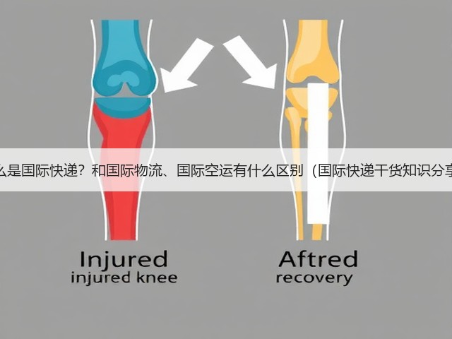 什么是国际快递?和国际物流、国际空运有什么区别(国际快递干货知识分享)(图1) 什么是国际快递?和国际物流、国际空运有什么区别(国际快递干货知识分享)(图1)