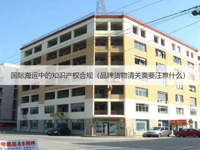 国际海运中的知识产权合规(品牌货物清关需要注意什么)(图1) 国际海运中的知识产权合规(品牌货物清关需要注意什么)(图1)