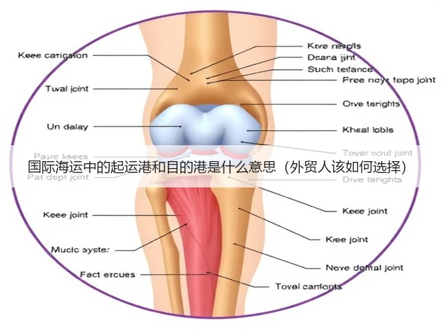 国际海运中的起运港和目的港是什么意思(外贸人该如何选择)(图1) 国际海运中的起运港和目的港是什么意思(外贸人该如何选择)(图1)