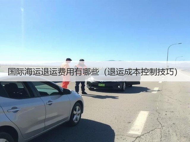 国际海运退运费用有哪些(退运成本控制技巧)(图2) 国际海运退运费用有哪些(退运成本控制技巧)(图2)