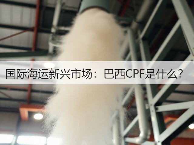 国际海运新兴市场:巴西CPF是什么?(图2) 国际海运新兴市场:巴西CPF是什么?(图2)