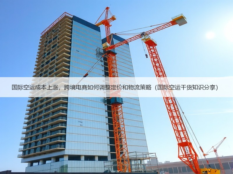 国际空运成本上涨,跨境电商如何调整定价和物流策略(国际空运干货知识分享) 国际空运成本上涨,跨境电商如何调整定价和物流策略(国际空运干货知识分享)