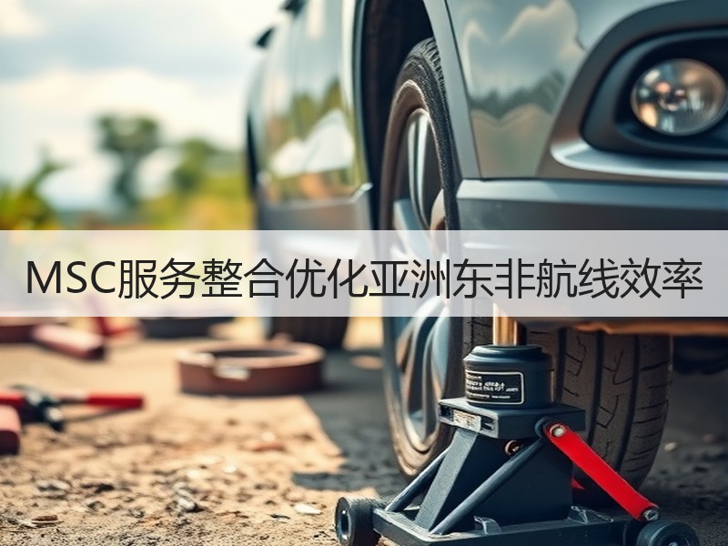 MSC服务整合优化亚洲东非航线效率