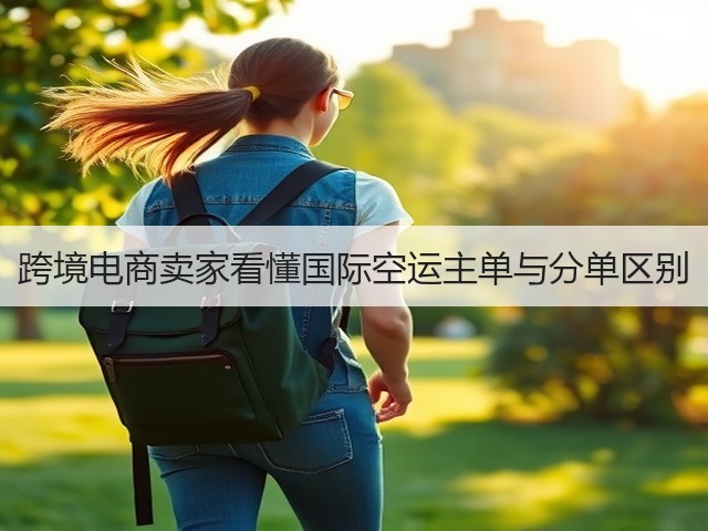 跨境电商卖家看懂国际空运主单与分单区别(图3) 跨境电商卖家看懂国际空运主单与分单区别(图3)