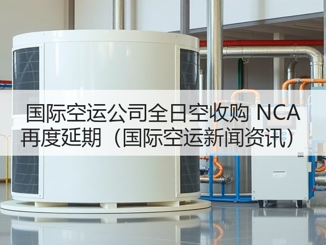 国际空运公司全日空收购 NCA 再度延期(国际空运新闻资讯)(图3) 国际空运公司全日空收购 NCA 再度延期(国际空运新闻资讯)(图3)