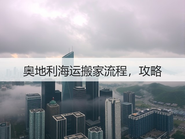 奥地利海运搬家流程，攻略(图3)