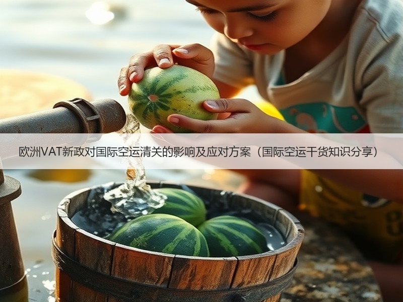 欧洲VAT新政对国际空运清关的影响及应对方案（国际空运干货知识分享）