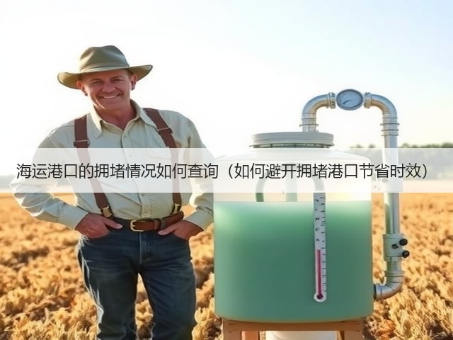 海运港口的拥堵情况如何查询(如何避开拥堵港口节省时效)(图1) 海运港口的拥堵情况如何查询(如何避开拥堵港口节省时效)(图1)