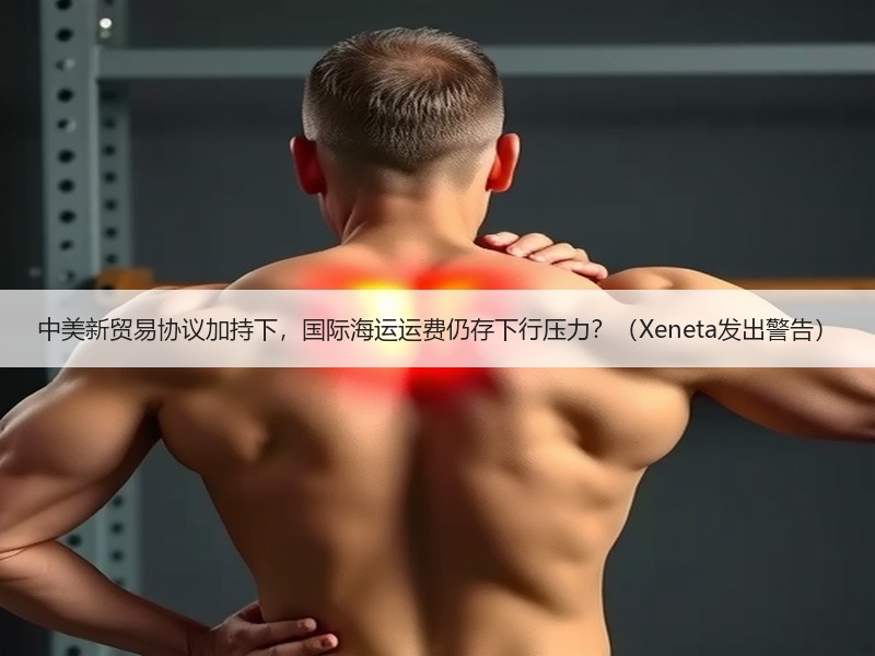 中美新贸易协议加持下,国际海运运费仍存下行压力?(Xeneta发出警告) 中美新贸易协议加持下,国际海运运费仍存下行压力?(Xeneta发出警告)