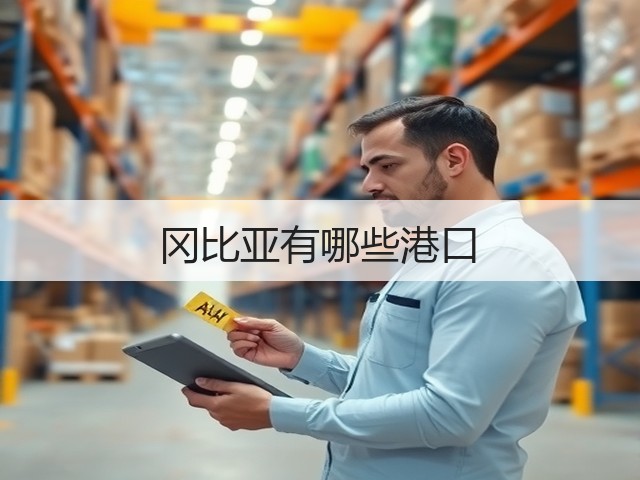 冈比亚有哪些港口(图2)