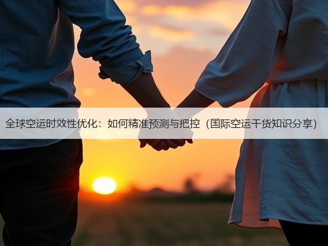 全球空运时效性优化:如何精准预测与把控(国际空运干货知识分享)(图3) 全球空运时效性优化:如何精准预测与把控(国际空运干货知识分享)(图3)