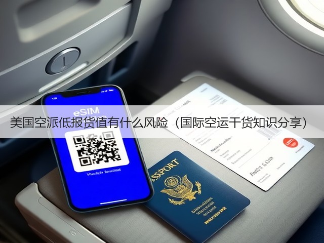 美国空派低报货值有什么风险(国际空运干货知识分享)(图1) 美国空派低报货值有什么风险(国际空运干货知识分享)(图1)