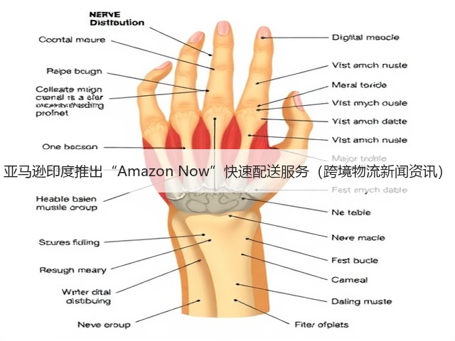 亚马逊印度推出“Amazon Now”快速配送服务(跨境物流新闻资讯)(图1) 亚马逊印度推出“Amazon Now”快速配送服务(跨境物流新闻资讯)(图1)
