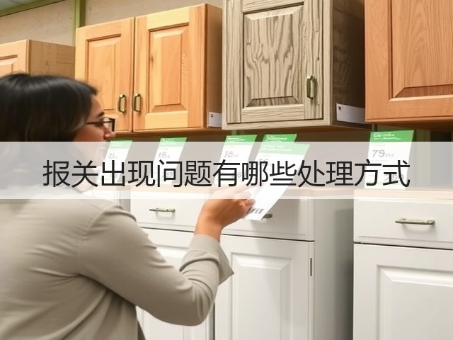 报关出现问题有哪些处理方式(图2) 报关出现问题有哪些处理方式(图2)