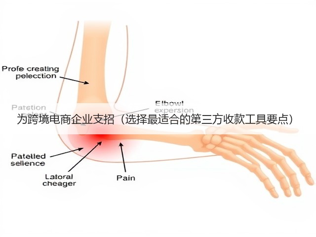 为跨境电商企业支招(选择最适合的第三方收款工具要点)(图3) 为跨境电商企业支招(选择最适合的第三方收款工具要点)(图3)