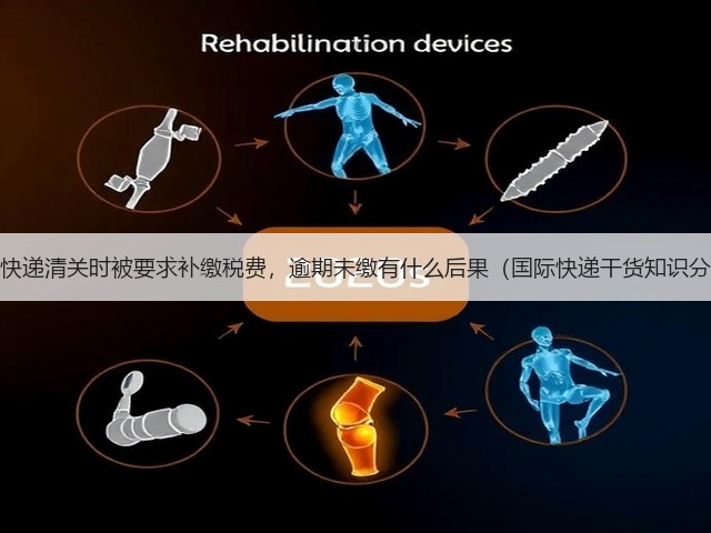国际快递清关时被要求补缴税费，逾期未缴有什么后果（国际快递干货知识分享）(图2)