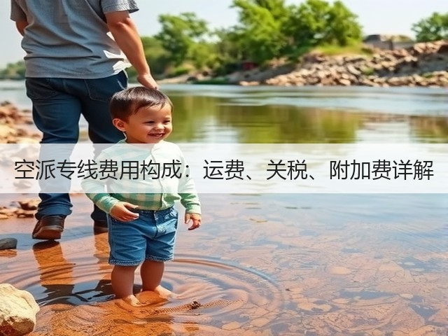 空派专线费用构成:运费、关税、附加费详解(图2) 空派专线费用构成:运费、关税、附加费详解(图2)