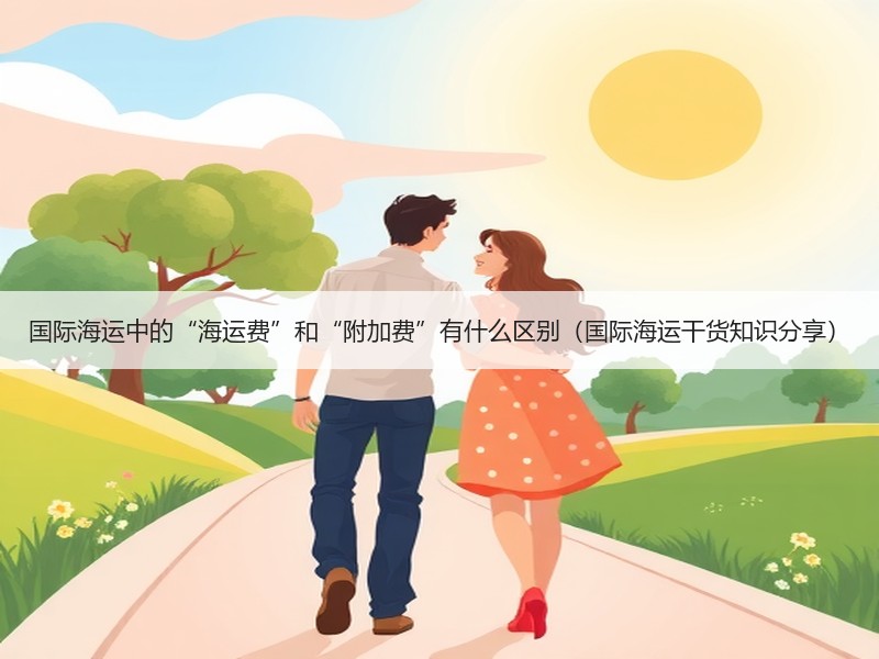 国际海运中的“海运费”和“附加费”有什么区别（国际海运干货知识分享）