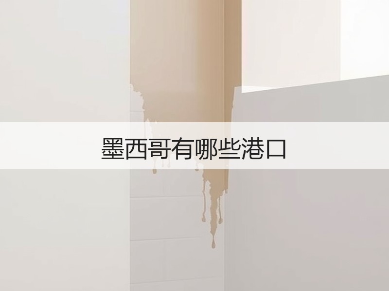 墨西哥有哪些港口 墨西哥有哪些港口