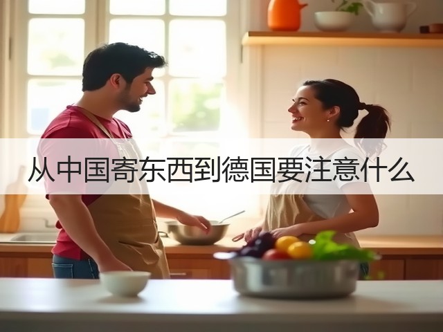 从中国寄东西到德国要注意什么(图2)