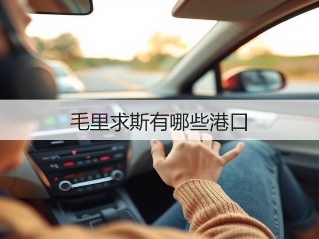 毛里求斯有哪些港口(图2)