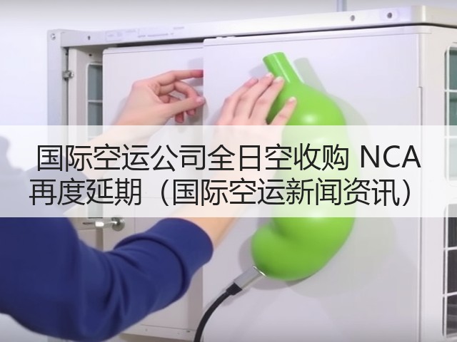 国际空运公司全日空收购 NCA 再度延期(国际空运新闻资讯)(图2) 国际空运公司全日空收购 NCA 再度延期(国际空运新闻资讯)(图2)