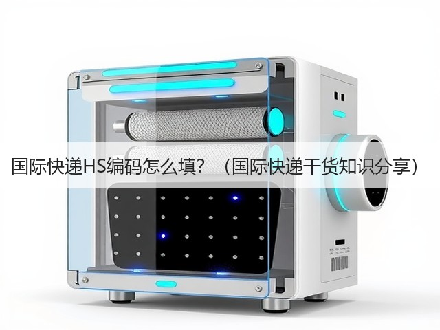 国际快递HS编码怎么填？（国际快递干货知识分享）(图3)