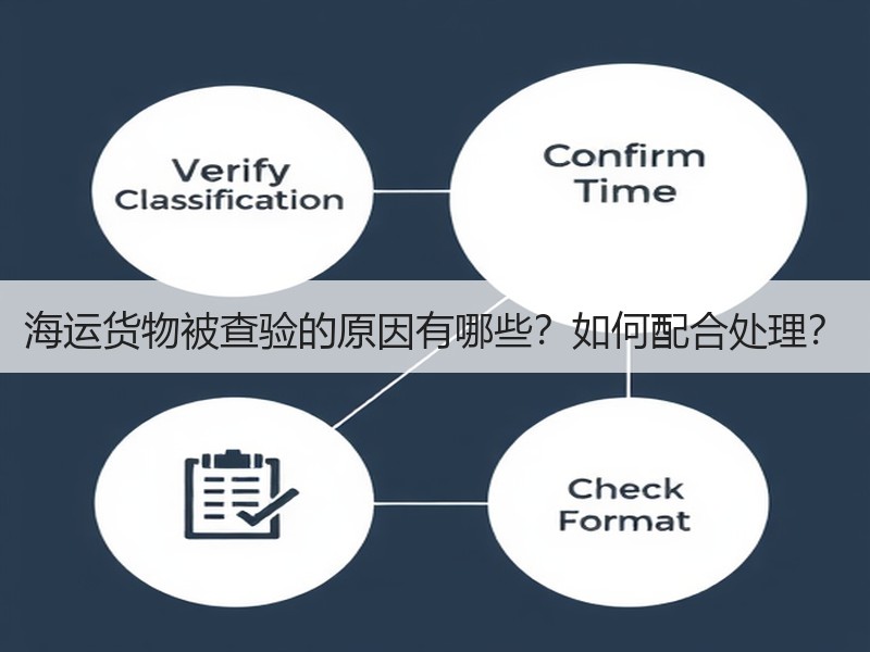 海运货物被查验的原因有哪些？如何配合处理？