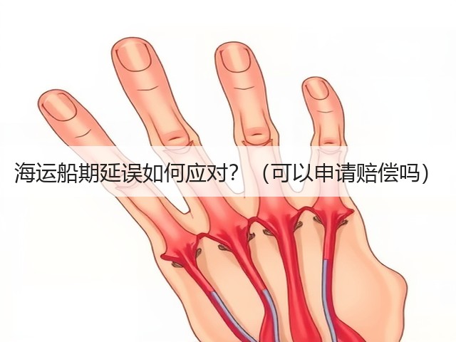 海运船期延误如何应对?(可以申请赔偿吗)(图3) 海运船期延误如何应对?(可以申请赔偿吗)(图3)