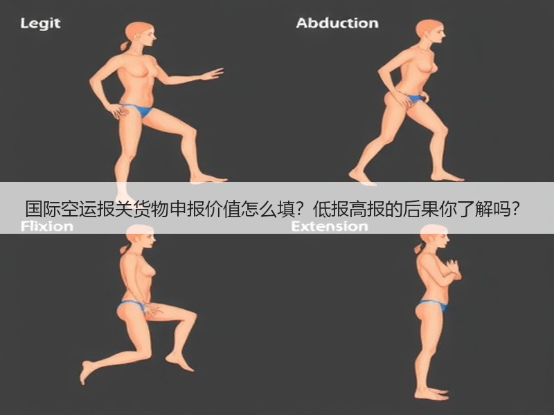 国际空运报关货物申报价值怎么填?低报高报的后果你了解吗? 国际空运报关货物申报价值怎么填?低报高报的后果你了解吗?