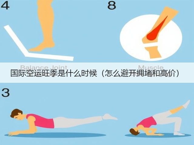 国际空运旺季是什么时候(怎么避开拥堵和高价)(图3) 国际空运旺季是什么时候(怎么避开拥堵和高价)(图3)