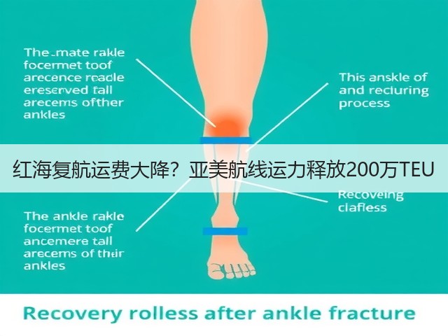 红海复航运费大降?亚美航线运力释放200万TEU(图2) 红海复航运费大降?亚美航线运力释放200万TEU(图2)